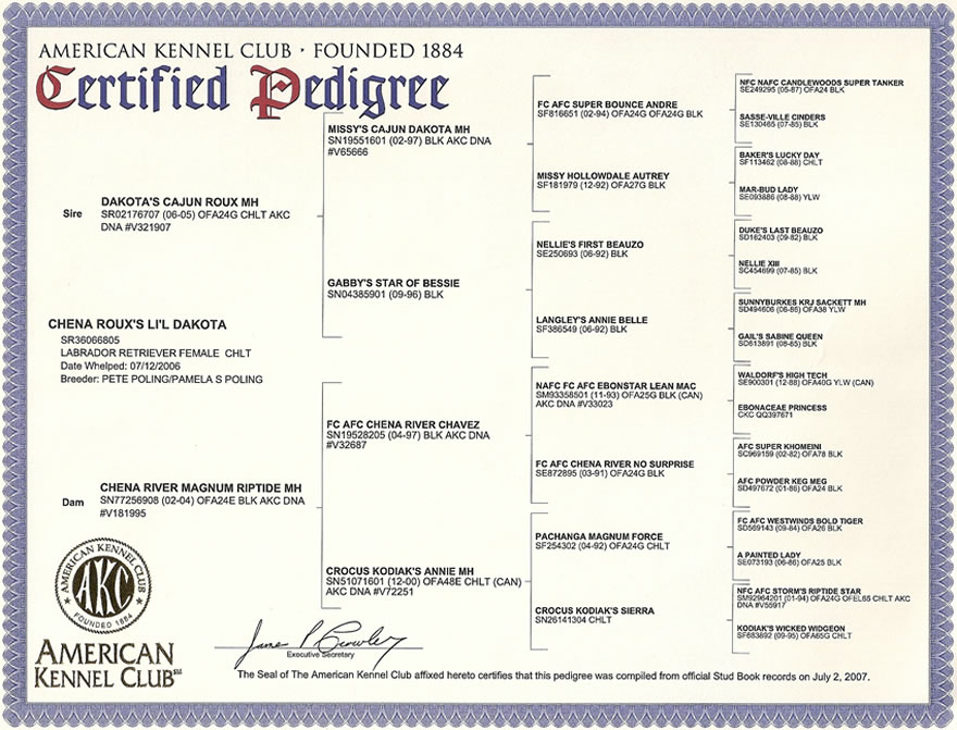 Dakota's Pedigree Image
