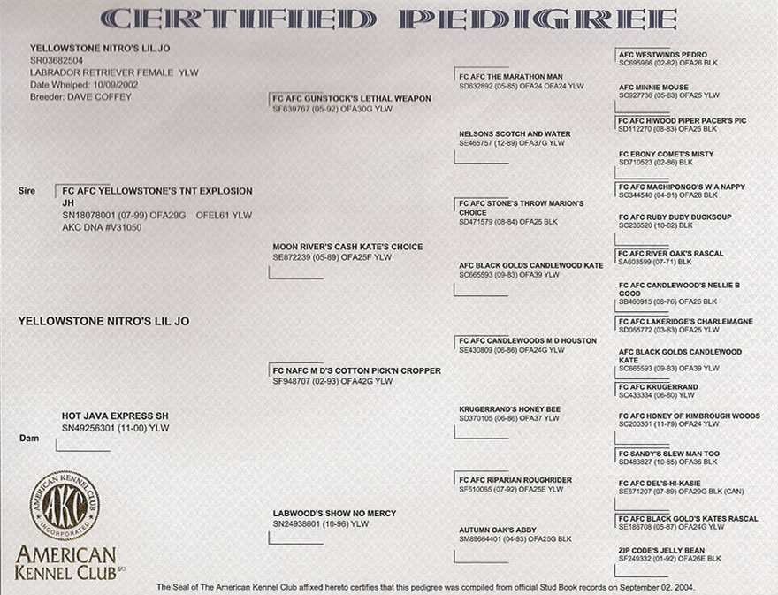 Jo's Pedigree Image