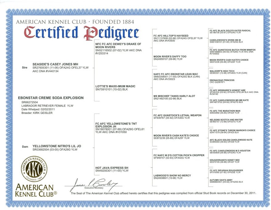 Soda's Pedigree Image