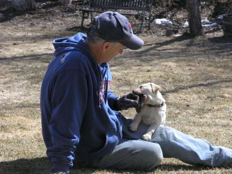 Kirk playing with puppy