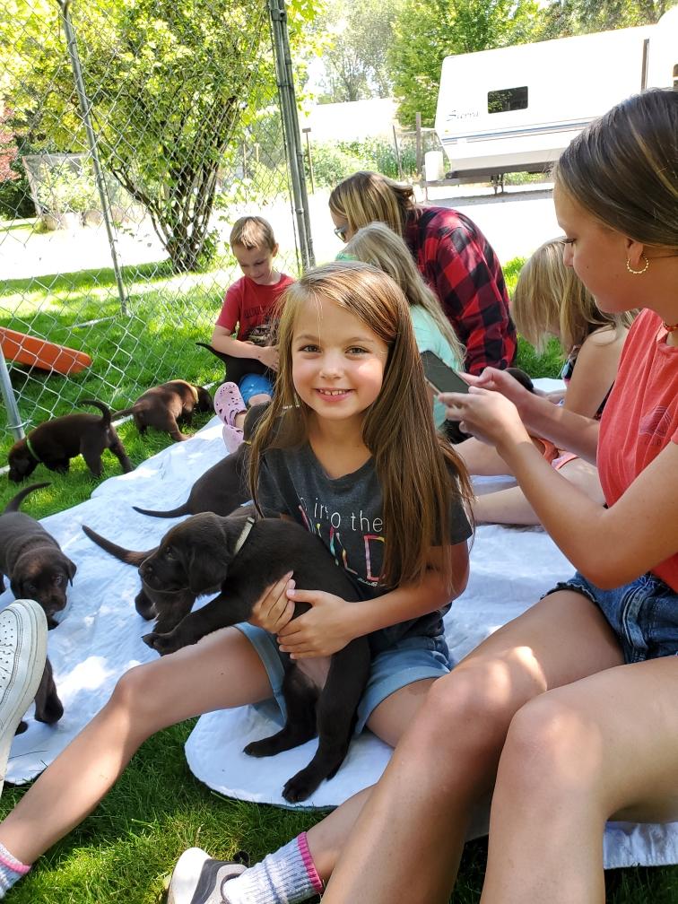Puppies