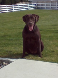 Reese
