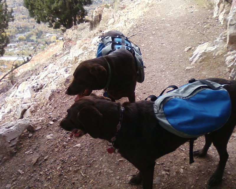 Shay and Kayo hiking