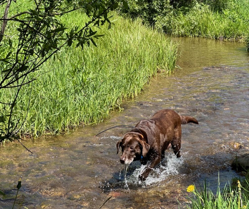 River